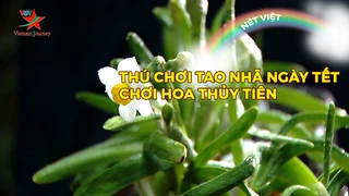 Thú chơi tao nhã ngày tết - Chơi hoa Thủy Tiên