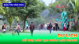 Hỗ Trợ Đào Tạo Nhân Lực Ngành Du Lịch