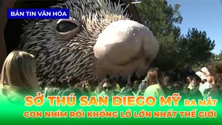 Mỹ - Con Nhím Rối Khổng Lồ Lớn Nhất Thế Giới Ra Mắt Tại Sở Thú San Diego