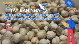 Những người phụ nữ gìn giữ nghề cào ngao sò ở Galicia Tây Ban Nha
