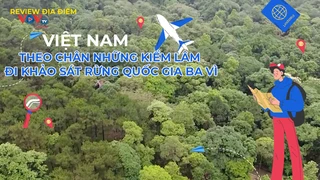 Theo chân những kiểm lâm đi khảo sát rừng quốc gia Ba Vì