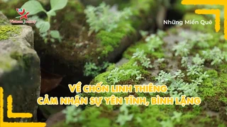 Về chốn linh thiêng cảm nhận sự yên tĩnh, bình lặng