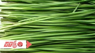 Tác dụng thần kỳ của rau hẹ