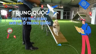 Dịch vụ thú cưng mới lạ ở Trung Quốc