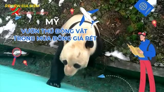 Vườn thú động vật trong mùa đông giá rét