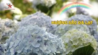 Hương sắc Đà Lạt