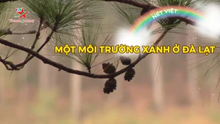 Một môi trường xanh ở Đà Lạt