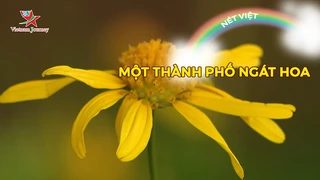 Một thành phố ngát hoa