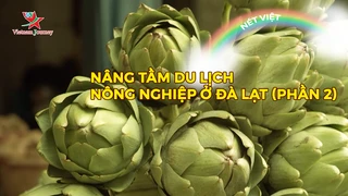Nâng tầm du lịch nông nghiệp ở Đà Lạt (phần 2)