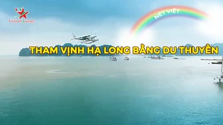 Tham vịnh Hạ Long bằng du thuyền