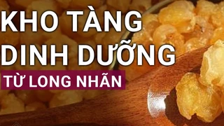 Long nhãn nhục: Loại quả sấy khô cực bổ dưỡng với bệnh về thần kinh và suy giảm trí nhớ