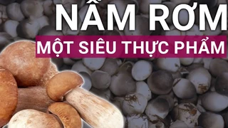 Nấm rơm: "Siêu thực phẩm" giúp ngon miệng và bồi bổ sức khỏe