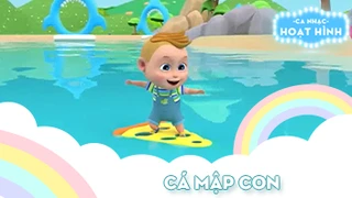 Ca khúc Cá mập con (24)