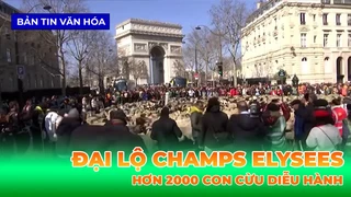 Hơn 2000 Con Cừu Diễu Hành Tại Đại Lộ Champs Elysees