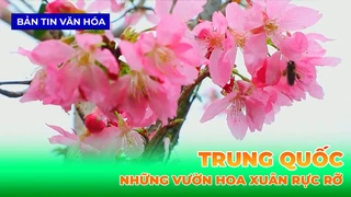 Những Vườn Hoa Xuân Rực Rỡ Ở Trung Quốc
