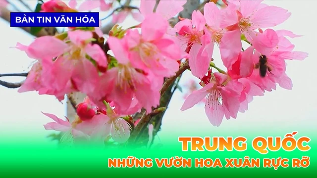 Những Vườn Hoa Xuân Rực Rỡ Ở Trung Quốc