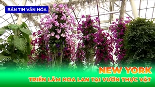 Triển Lãm Hoa Lan Tại Vườn Thực Vật New York