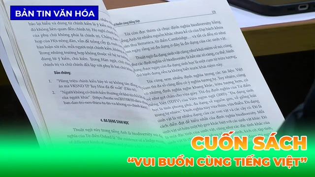 Vui Buồn Cùng Tiếng Việt