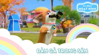 Ca khúc Đàn gà trong sân (13)