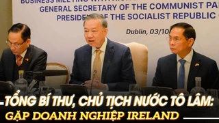 Tổng Bí thư, Chủ tịch nước Tô Lâm gặp doanh nghiệp Ireland |VOVTV