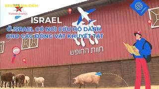 Ở Israel có nơi cứu hộ dành cho các động vật khuyết tật