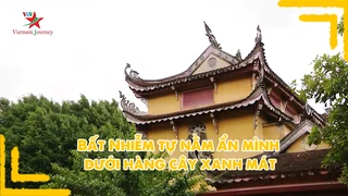 Bất Nhiễm tự nằm ẩn mình dưới hàng cây xanh mát