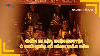 Chốn tu tập, thiện nguyện ở ngôi chùa cổ hàng trăm năm