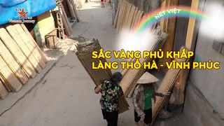 Sắc vàng phủ khắp làng Thổ Hà - Vĩnh Phúc