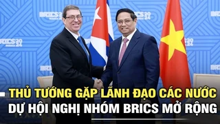 Thủ tướng gặp lãnh đạo các nước dự Hội nghị Nhóm BRICS mở rộng