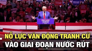 Bầu cử Mỹ 2024: Nỗ lực vận động tranh cử vào giai đoạn nước rút