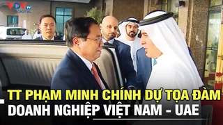 Thủ tướng Phạm Minh Chính dự tọa đàm doanh nghiệp Việt Nam - UAE