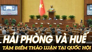 Quốc hội thảo luận tại tổ về tổ chức chính quyền đô thị Tp. Hải Phòng, thành lập Tp. Huế trực thuộc