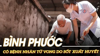 Bình Phước có thêm bệnh nhân tử vong do sốt xuất huyết