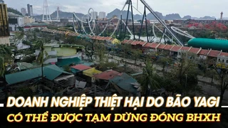 Doanh nghiệp thiệt hại do bão Yagi có thể được tạm dừng đóng BHXH