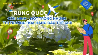 Côn Minh - Một trong những thị trường hoa hàng đầu thế giới