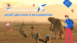 Nghề săn chim ở Afghanistan