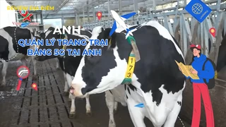 Quản lý trang trại bằng 5G tại Anh