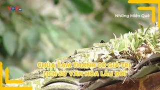 Chùa Tam Thanh có giá trị lịch sử văn hóa lâu đời