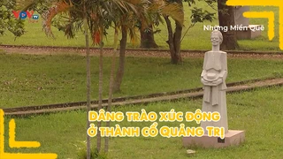 Dâng trào xúc động ở thành cổ Quảng Trị