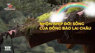 Nhộn nhịp đời sống của đồng bào Lai Châu