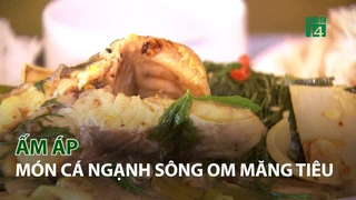 Ấm áp món Cá Ngạnh Sông om Măng Tiêu