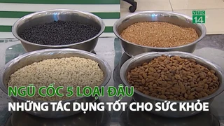 Ngũ Cốc 5 loại Đậu - Những tác dụng tốt cho sức khỏe 1