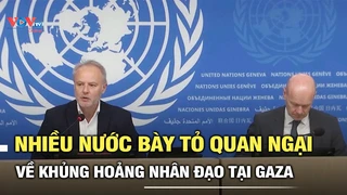 Nhiều nước bày tỏ quan ngại sâu sắc về khủng hoảng nhân đạo tại Gaza