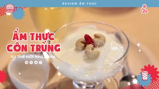 Ẩm Thực Côn Trùng - Review Ẩm thực