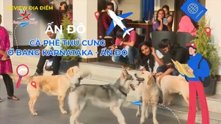 Cà phê thú cưng ở bang Karnataka - Ấn Độ