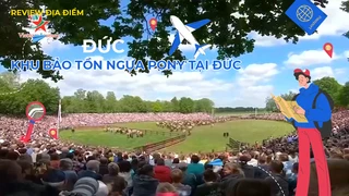 Khu bảo tồn ngựa Pony tại Đức