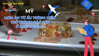 Món ăn từ ấu trùng kiến trở thành đặc sản ở Los Angeles