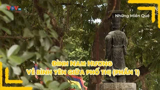 Đình Nam Hương - Vẻ bình yên giữa phố thị (phần 1)