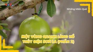Một vòng quanh lòng hồ thủy điện Sơn La (phần 2)