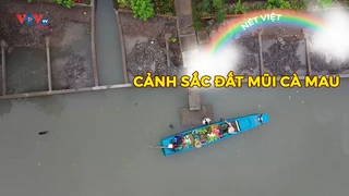 Cảnh sắc đất mũi Cà Mau